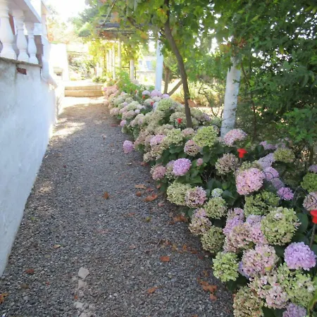 Vivelorural El Refugio De Arucas, Pool & Terrace Holiday home *